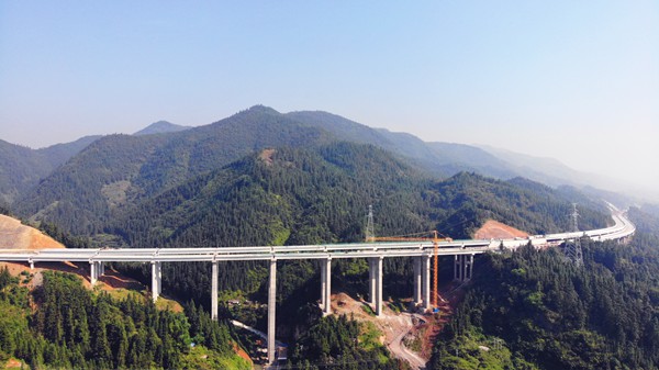 1565833963241313.jpg 1565692876269637.jpg